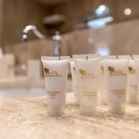 Pusu Paunksneje Hotel Palanga