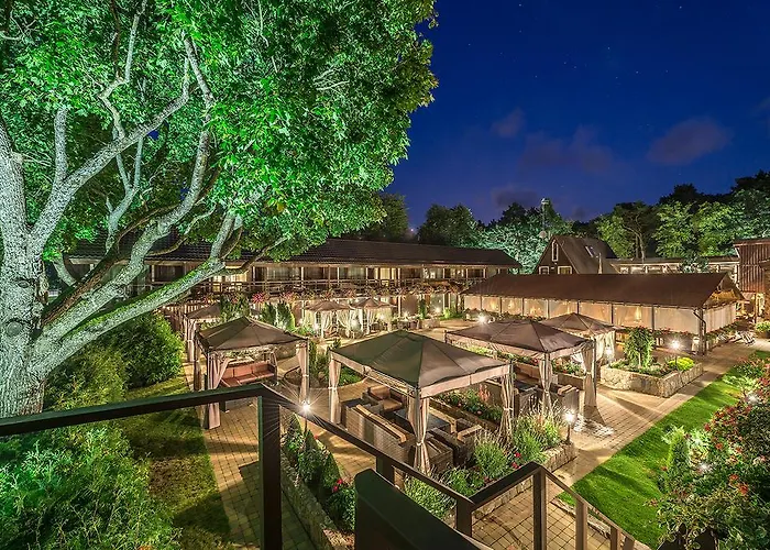 Pusu Paunksneje Palanga